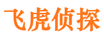 湖北捉小三公司